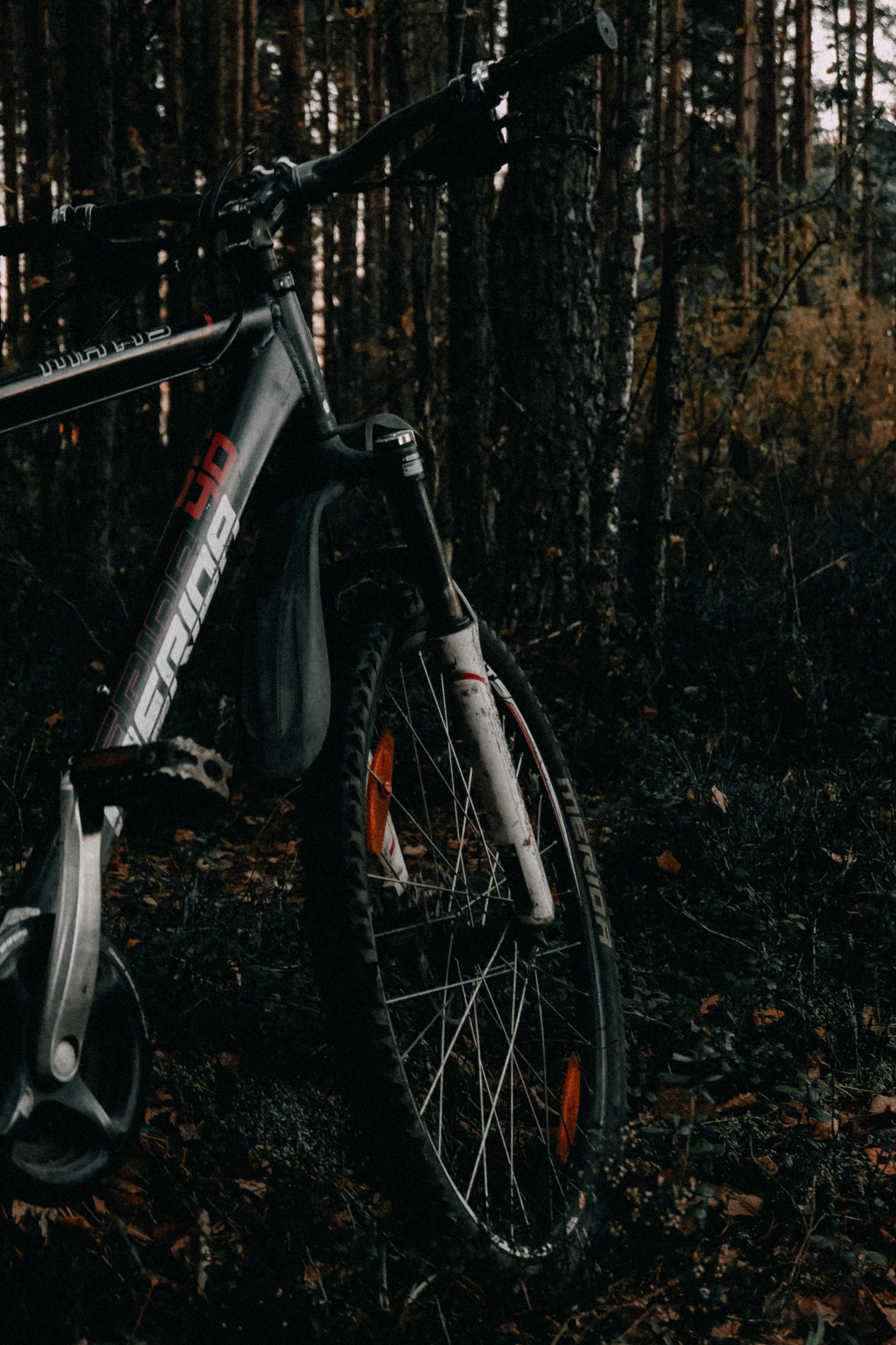 Hybrid bike on a country road